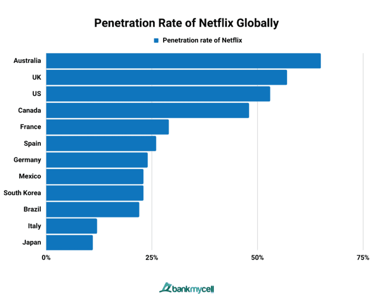 How Many Subscribers Does Netflix Have? (2024)